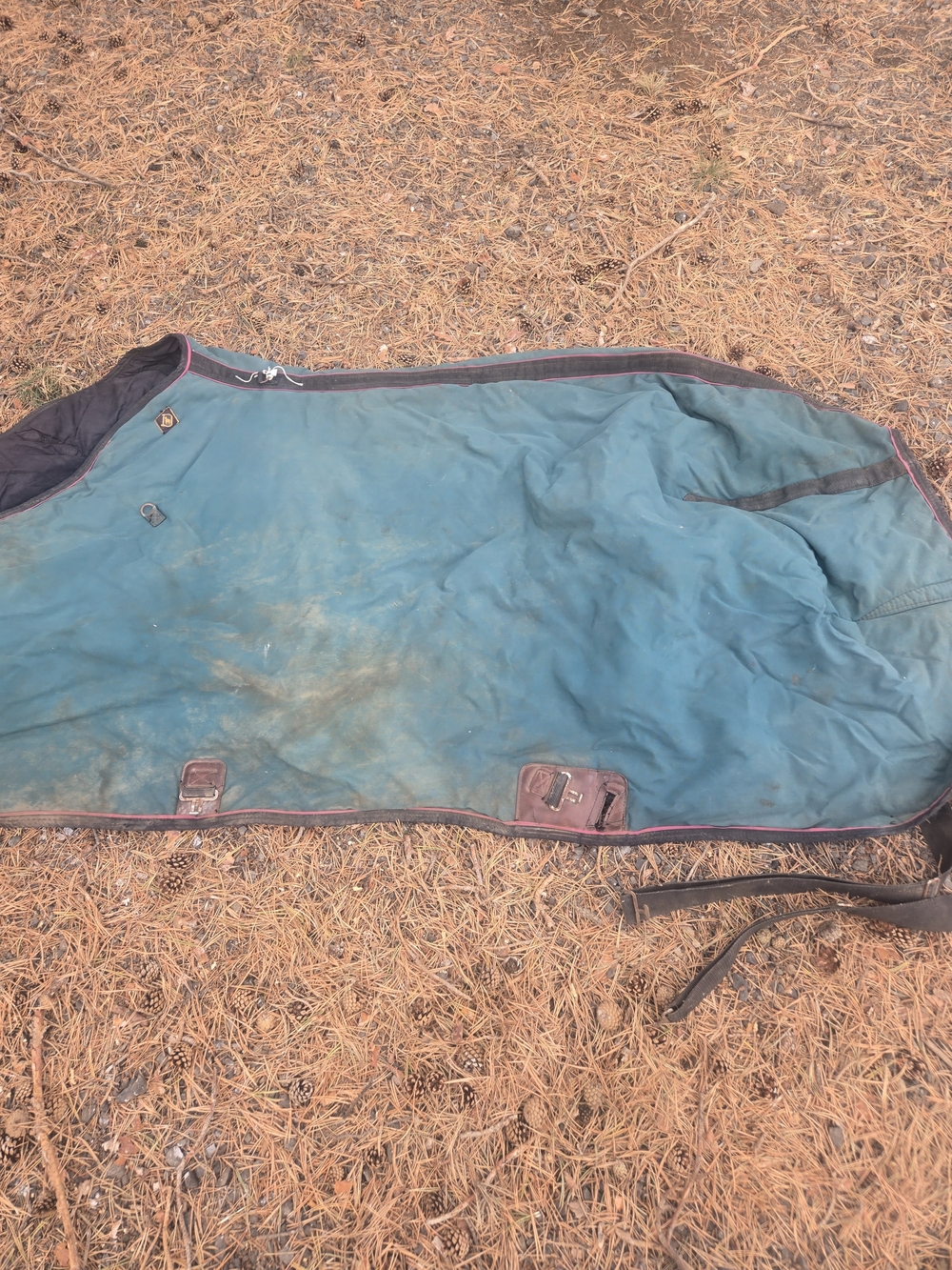 Big D Horse Stable Blanket Heavy Winter Blanket Size 82